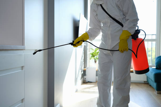 Best Residential Mold Remediation in Onalaska, WI