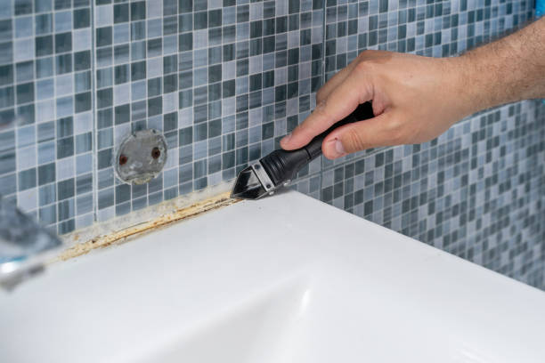 Best Health and Safety Mold Remediation in Onalaska, WI